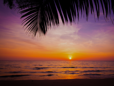 Sunset Beach